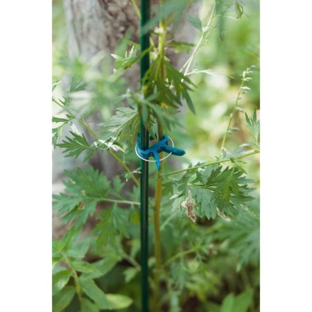 Set for mounting plants: Brongs large (6.5 cm) - 10 pcs., Small clothespins (4.5 cm) - 10 pcs., Greengo-6