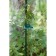 Set for mounting plants: Brongs large (6.5 cm) - 10 pcs., Small clothespins (4.5 cm) - 10 pcs., Greengo