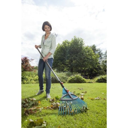 Lobbish rakes, plate, 21 teeth, plastic, nozzle for a combi system-1