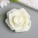 Decor for creativity "Dairy rose is magnificent" d = 7 cm