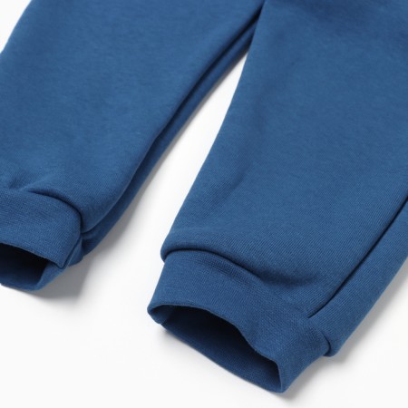 Costume: sweatshirt and pants crumb I am Blueberry p. 92-98, blue-9