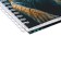 Notepad A6, 80 sheets in a cage, on a crest, "predatory beauty", a solid cover, lamination of Soft-Touch, block 70g/m2