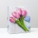 Laminated package, 26 x 32 x 12 cm