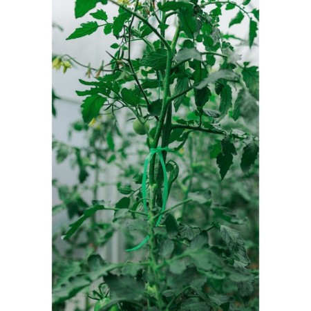 SPAGAT for garter plants, 300 m, polypropylene, Greengo-4