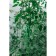 SPAGAT for garter plants, 300 m, polypropylene, Greengo