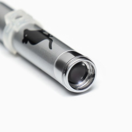 Laser pointer for cats "mouse" with batteries-2