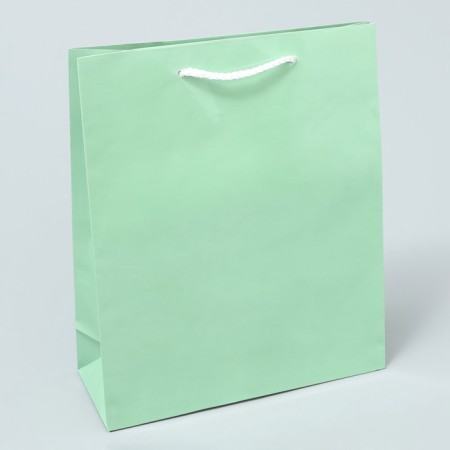 Gift package laminated, packaging, "green", ml 21 x 25 x 8 cm-4
