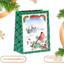 Gift package 