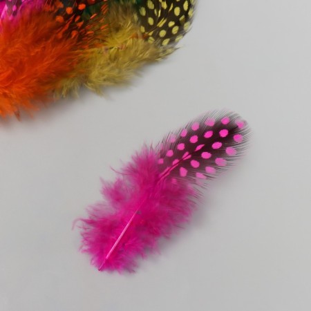 Pen's pen-pheasant "polka dots" set 15 pcs h = 8-13 cm-1