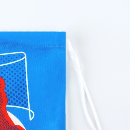 Back for shoes "Strong game", Blue color, 41 x 31 cm-2