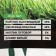 The lawn grass mixture "Absolute", "lazy", 10 kg