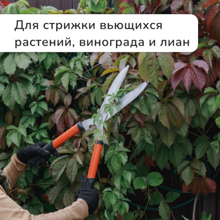 Kustorez, 20.5 "(52 cm), with plastic pens, mix-3