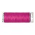 Pink fuchsia