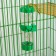 Drill for rodents "Rabbits", 125 ml, 12.5x4.5 cm, Mix of flowers