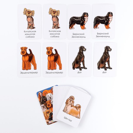 A set of “dog breeds” cards. Part 2-8