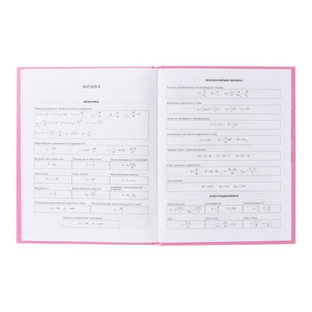 Diary 5-11 class Cat, 48 sheets, solid cover, glossy lamination, foil embossing, offset block-11