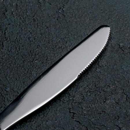 Control knife "Uralochka", h = 19.5 cm, thickness 2 mm, silver color-2