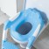 Children's lining - a seat on the toilet with a step “panda”, with handles, blue color