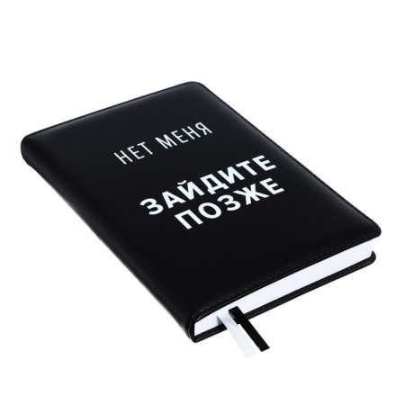 Leduced Diary A5, 160 sheets, Devente.message. NOT ME!, Firmly cover of artificial leather, lies, block 70 g/m2-1