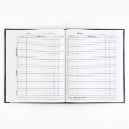 School diary 5-11 grade, in a solid cover, 48 liters. "Russia"-3