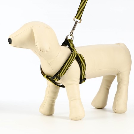 Acunition set is embossed, leash 120 x 2 cm, og 44-50 cm, yellow-black-2