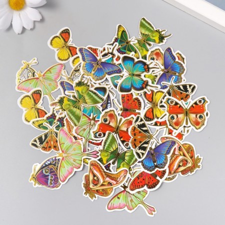 Stickers for creativity "World of butterflies" embossing gold set 48 pcs 9x7x0.8 cm-2