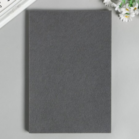 Hard felt 1 mm 20x30 cm ts.694 Gray-2