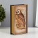 Safe -book wood to the leatherette "Knowledge is the absolute value of our time" 21x13x5 cm