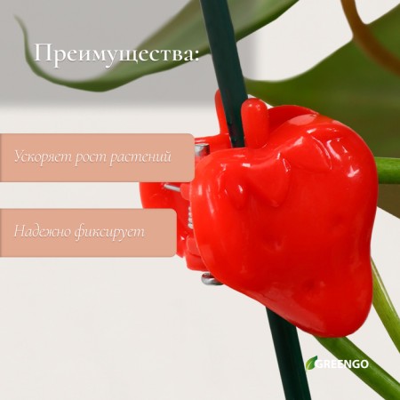 Clips for plants "strawberries", set of 10 pcs., Mix, Greengo-2