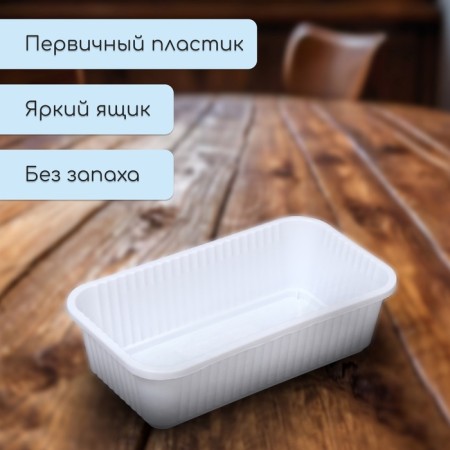 Box for seedlings, 28.5 × 15.5 × 8.5 cm, 2.5 l, white, Greengo-2