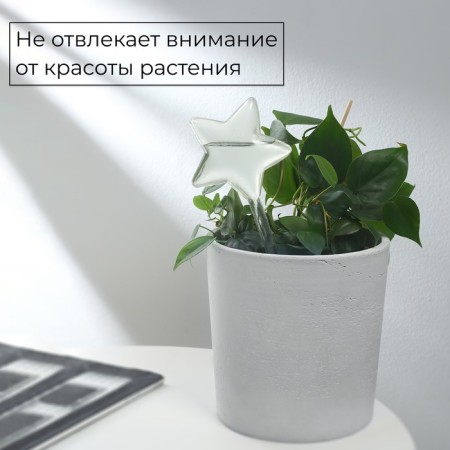 Auto -polyove for indoor plants, PVC, "Zvezda", 100 ml, Greengo-3