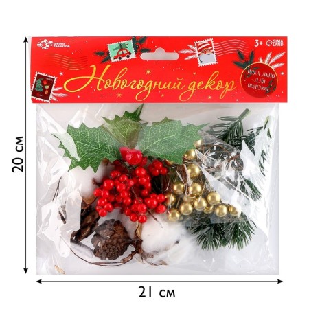 Set for creativity "Materials for winter crafts. Cones, twigs "-1