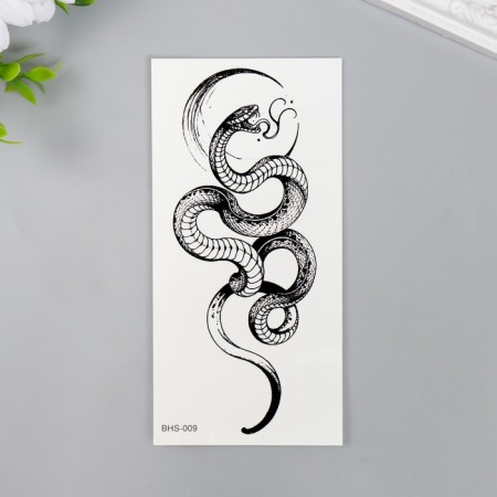 Tattoo on the body Black "Snake" mix 14x7 cm-2