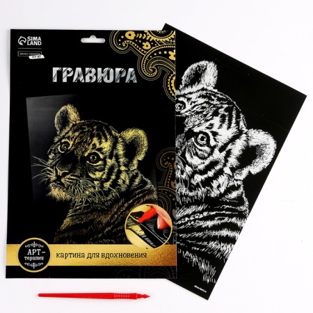 Engraving. Set of engravings "Family of cats", A4, 4 pcs-4