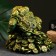 Piggy bank "Toad on money" Green with gilding, 15x15x15cm