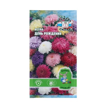 Seeds Flower Astra "Birthday" 0.2 g