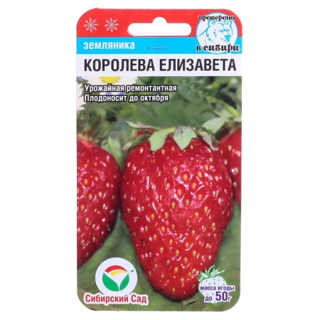 Strawberries "Queen Elizabeth", 10 pcs