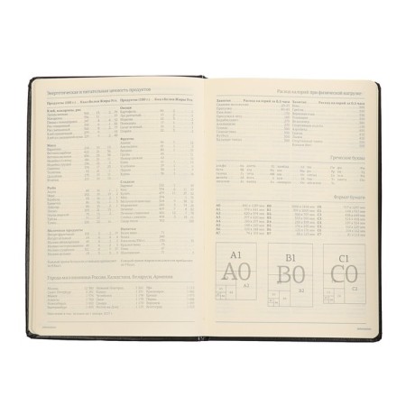 Deliciper of Leduced A5, 160 sheets Megapolis, hard cover, artificial leather, black-9