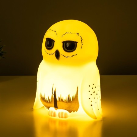 Night Owls LED from white batteries 10.5x15.5x18 cm Risalux-2