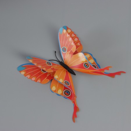 Magnet Plastic "Butterfly with delicate patterns" set of 12 pcs 6; 8; 10; 12 cm-1