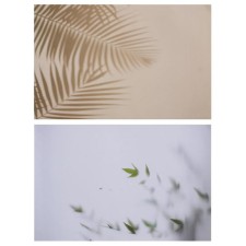 Photophone bilateral paper 300 grams 