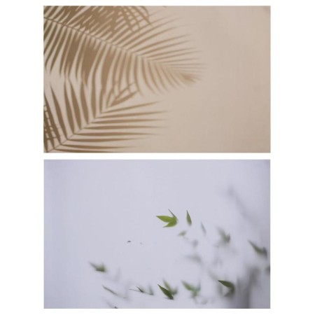 Photophone bilateral paper 300 grams "Shadow and leaves" 57x87 cm