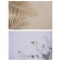 Photophone bilateral paper 300 grams "Shadow and leaves" 57x87 cm