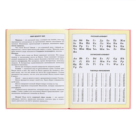 Diary for grades 1-4, solid cover "Girlfriends", matte lamination, selective varnish, block 60 g/m2-13