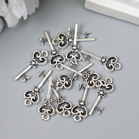 Decor for creativity Metal "Cly bending" silver 5522M007 2.2x0.9 cm-2