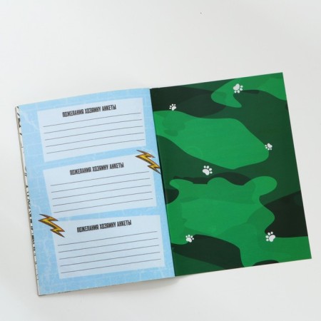 Profile for boys A6, 16 sheets "Military cats"-10