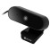 Camera Web Rick OK-C008FH Black 2MPIX (1920x1080) USB2.0 with a microphone