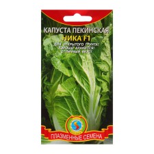 Seed Cabbage Beijing 