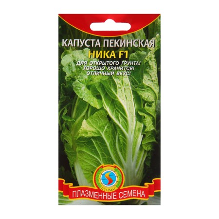 Seed Cabbage Beijing "Nika"