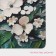 Коврик для дома Доляна Wild Flora, диатомитовый, 40×60 см